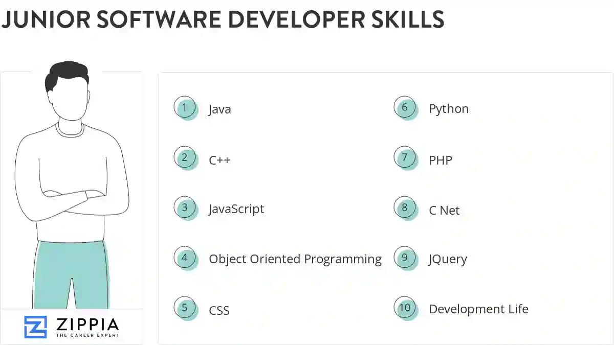 Junior software developer skills
