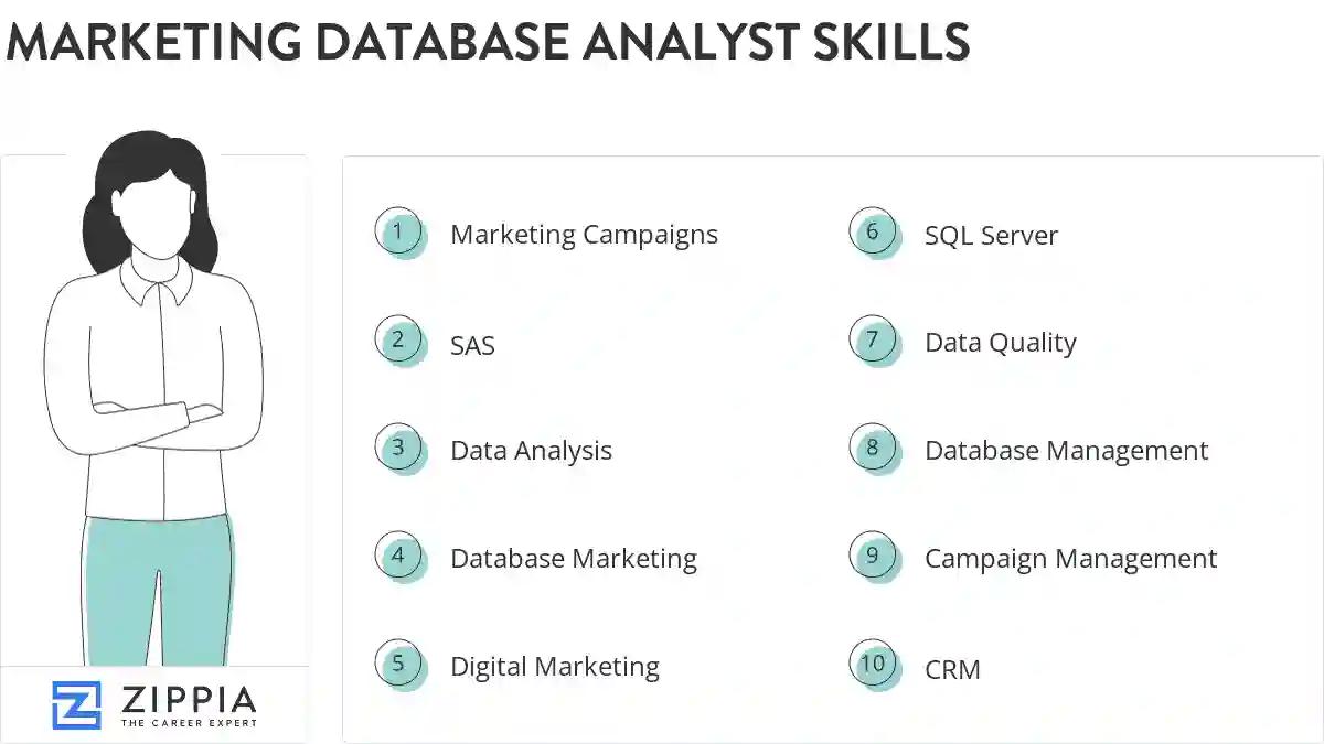 Marketing database analyst skills