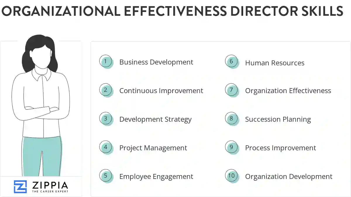 Organizational effectiveness director skills
