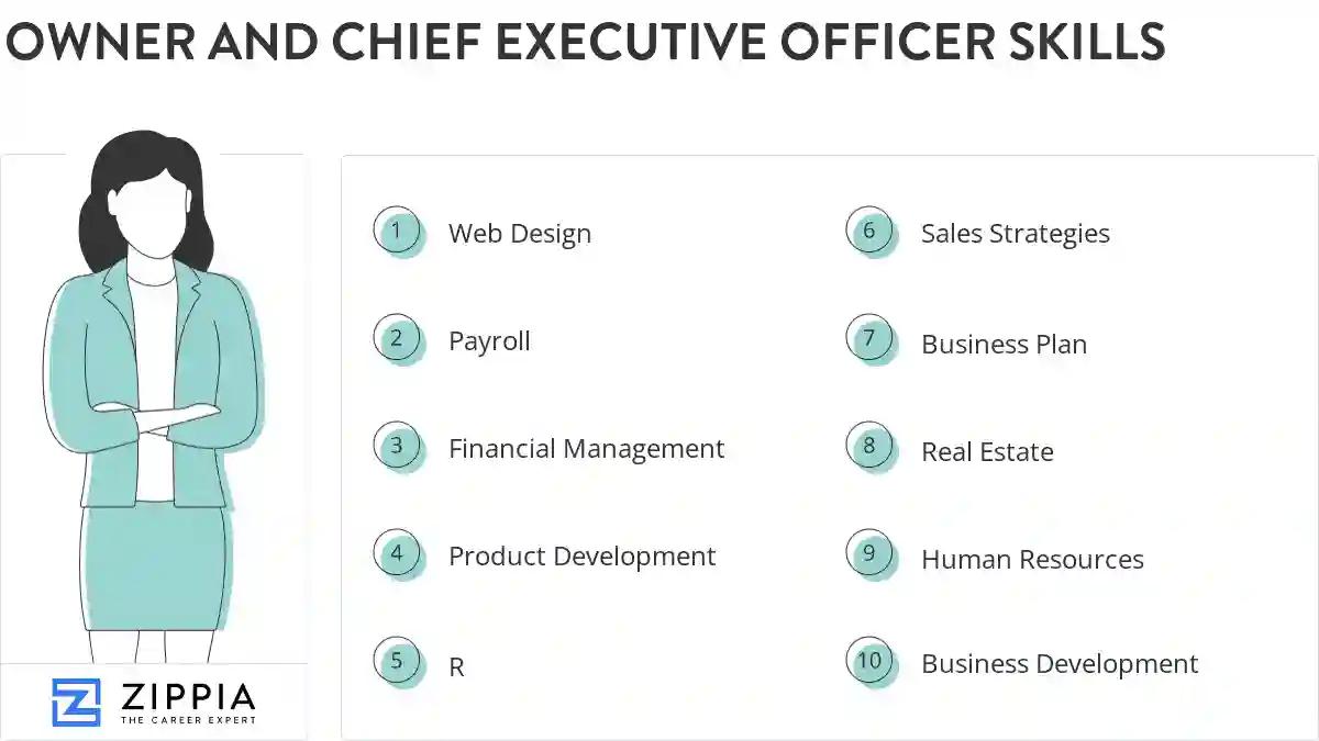 Owner and chief executive officer skills