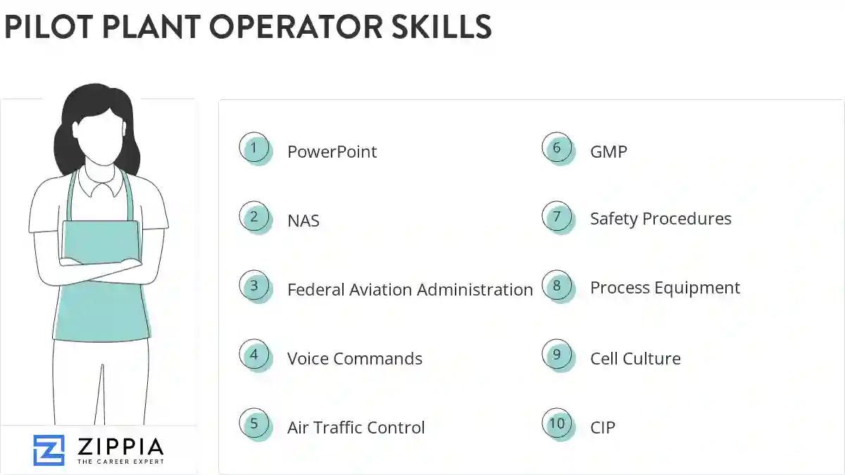 Pilot plant operator skills
