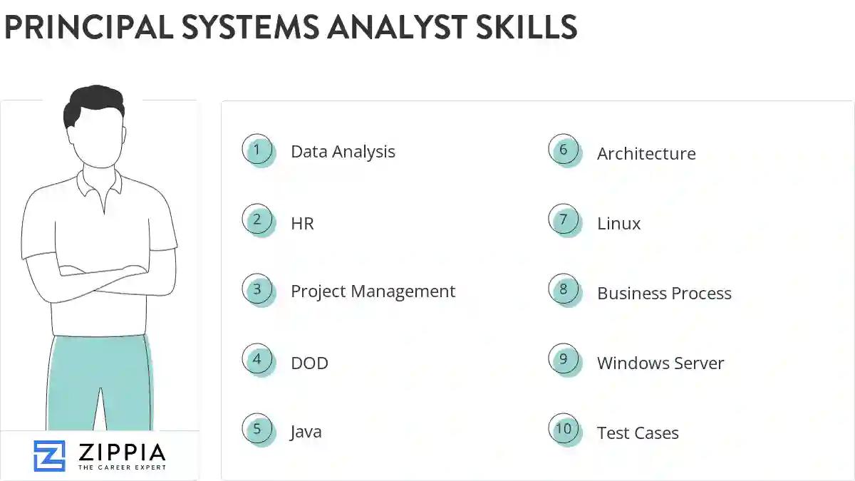 Principal systems analyst skills