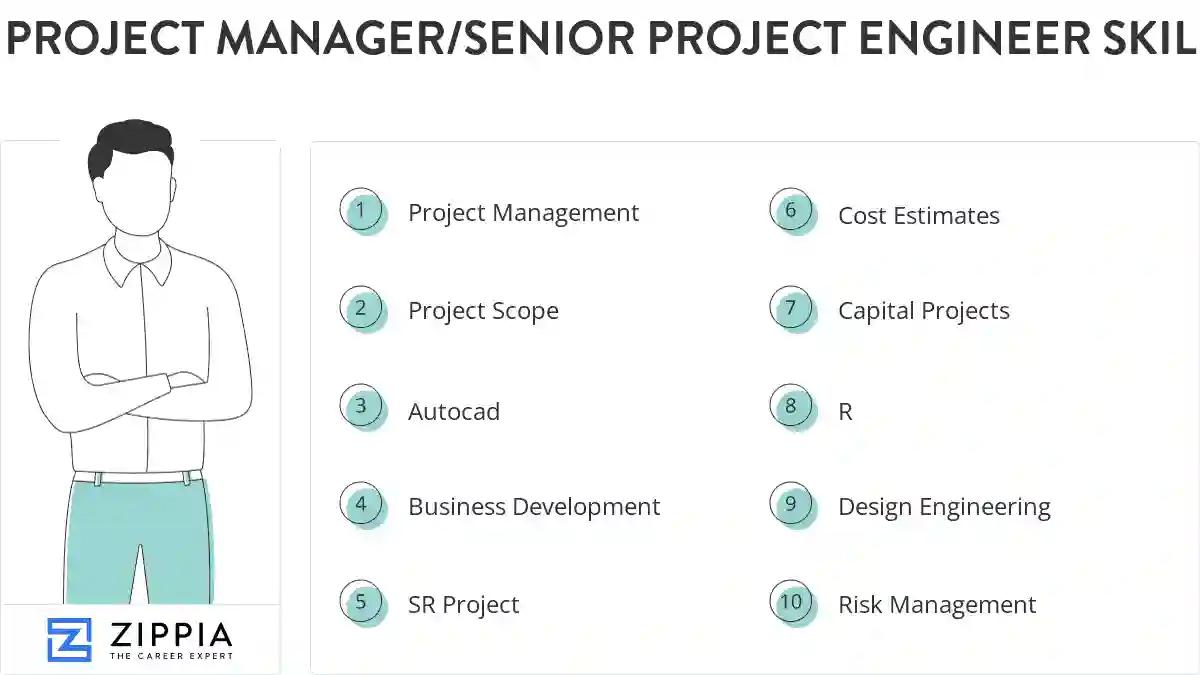 Project manager/senior project engineer skills