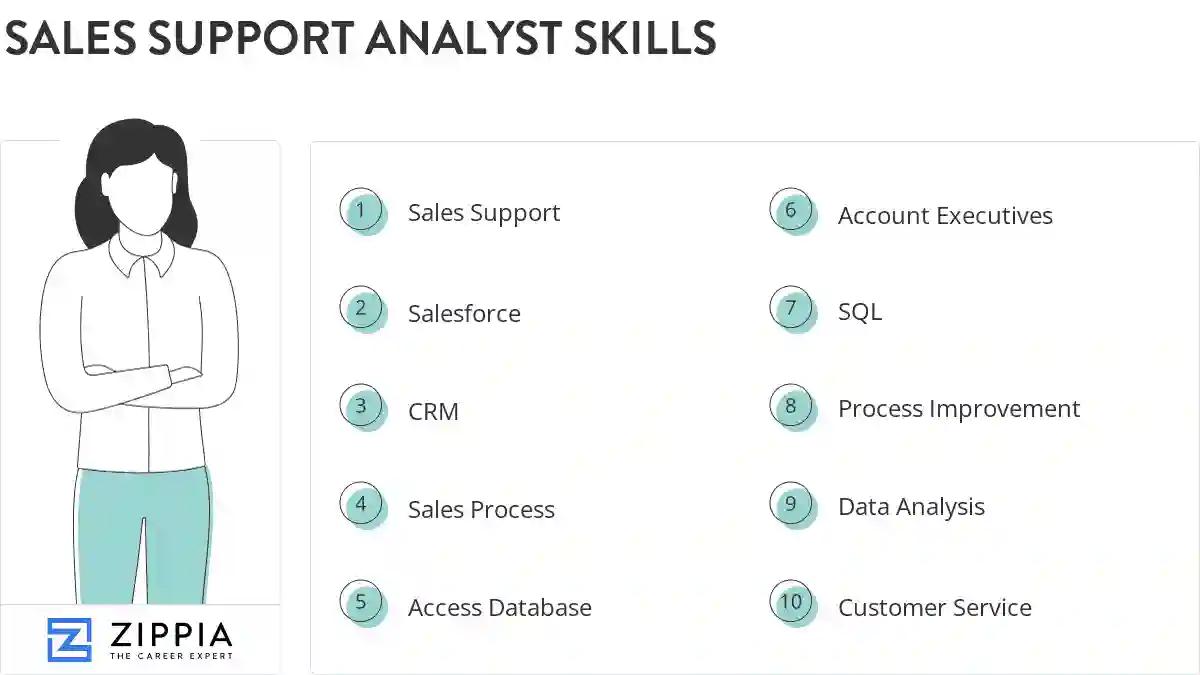 Sales support analyst skills