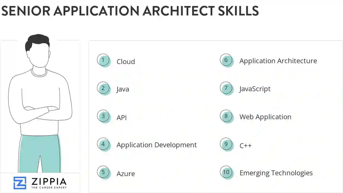 Senior application architect skills