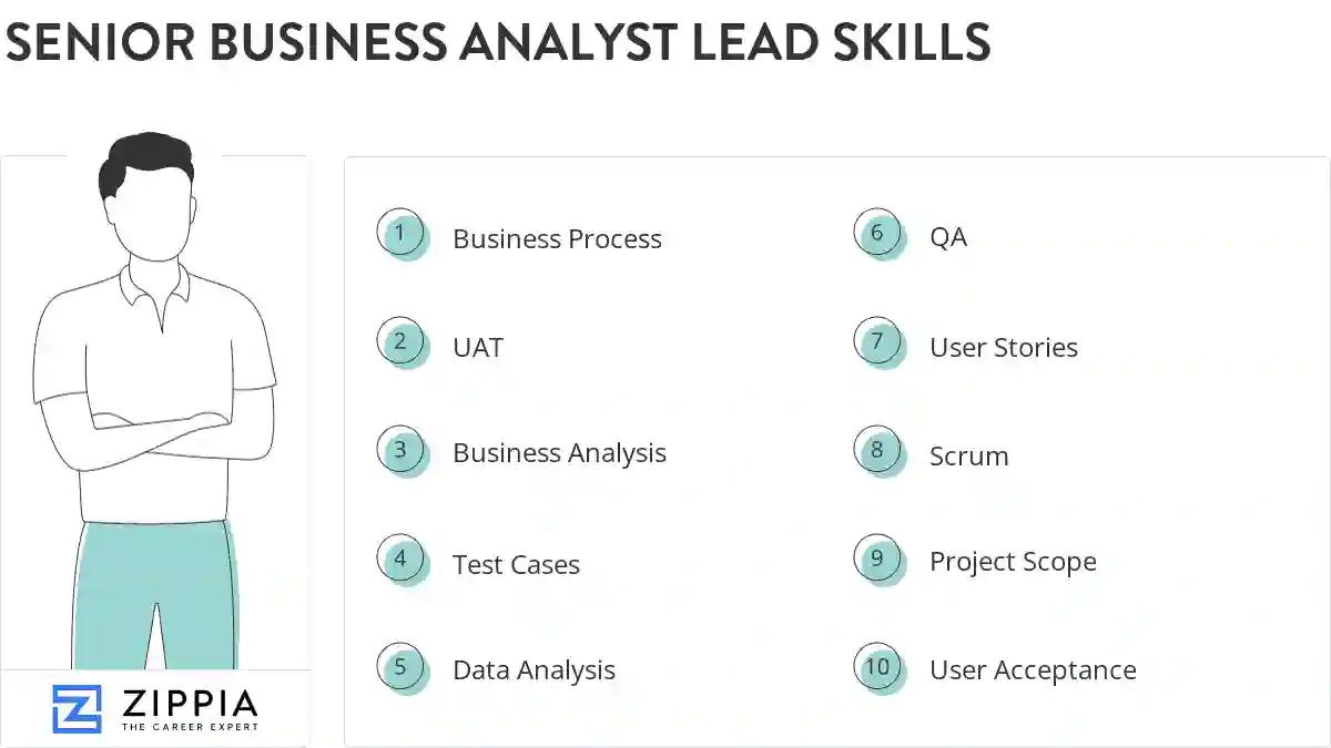Senior business analyst lead skills
