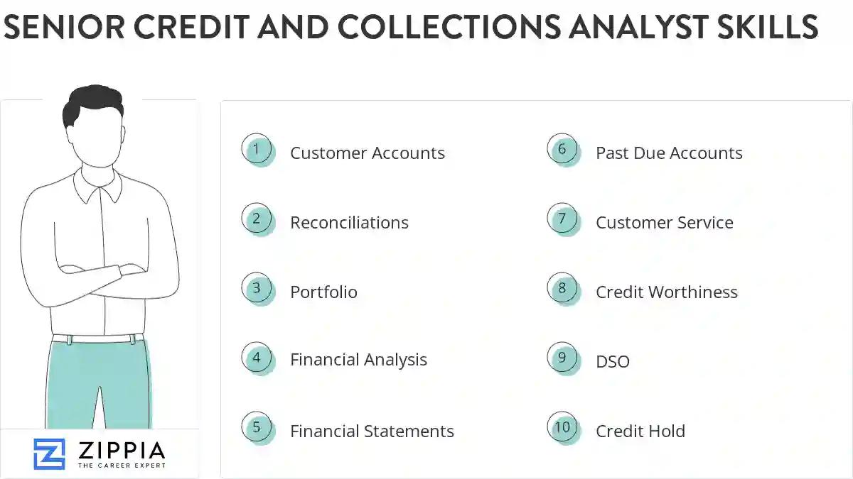 Senior credit and collections analyst skills