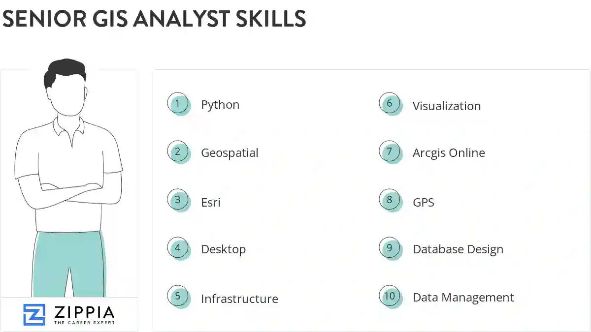 Senior gis analyst skills