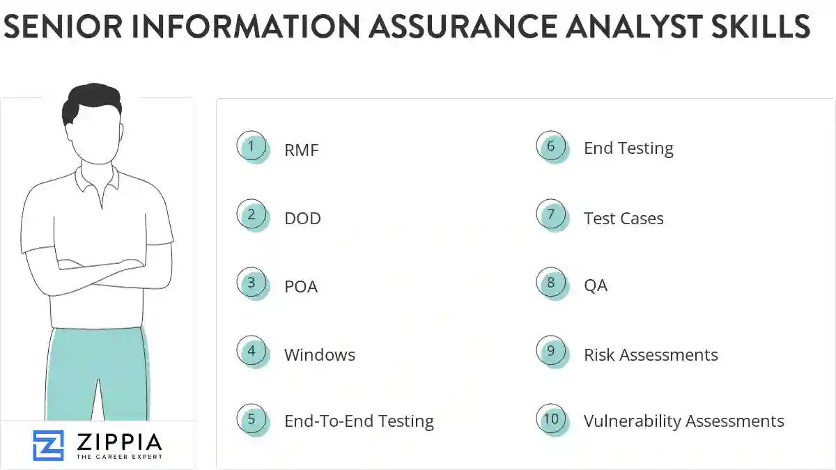 Senior information assurance analyst skills