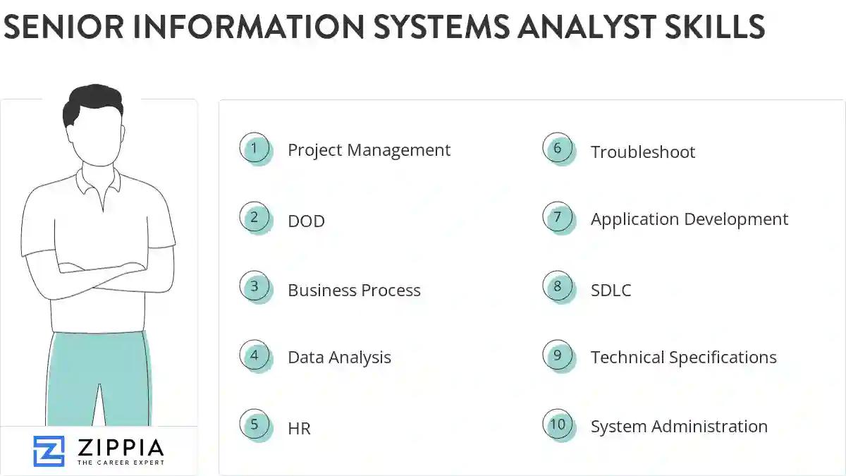 Senior information systems analyst skills