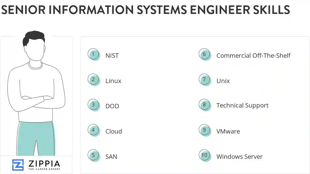 Senior information systems engineer skills