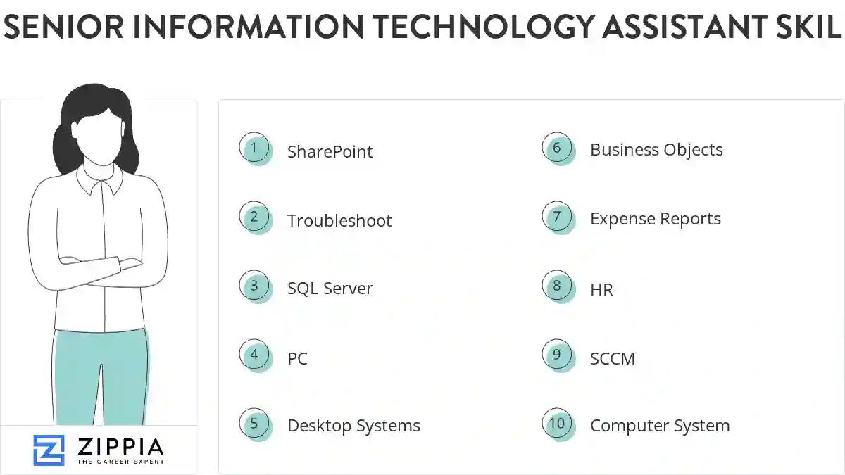 Senior information technology assistant skills