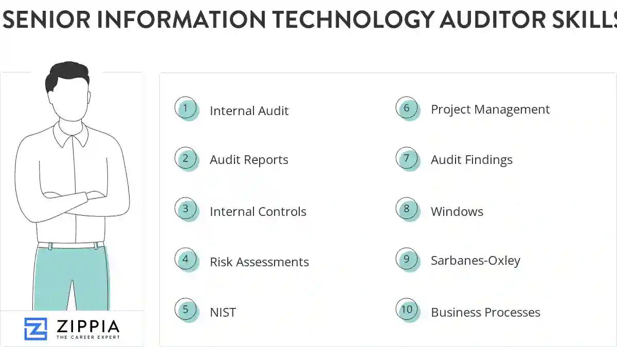 Senior information technology auditor skills