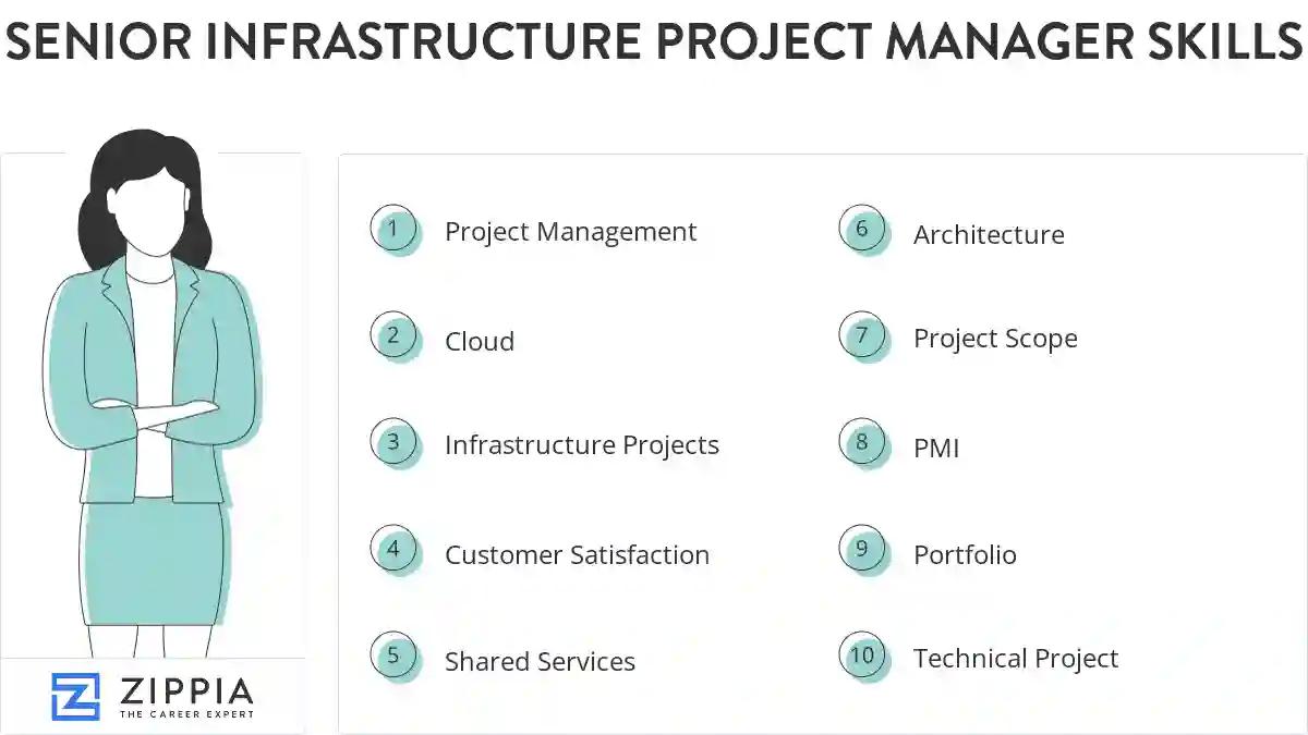 Senior infrastructure project manager skills