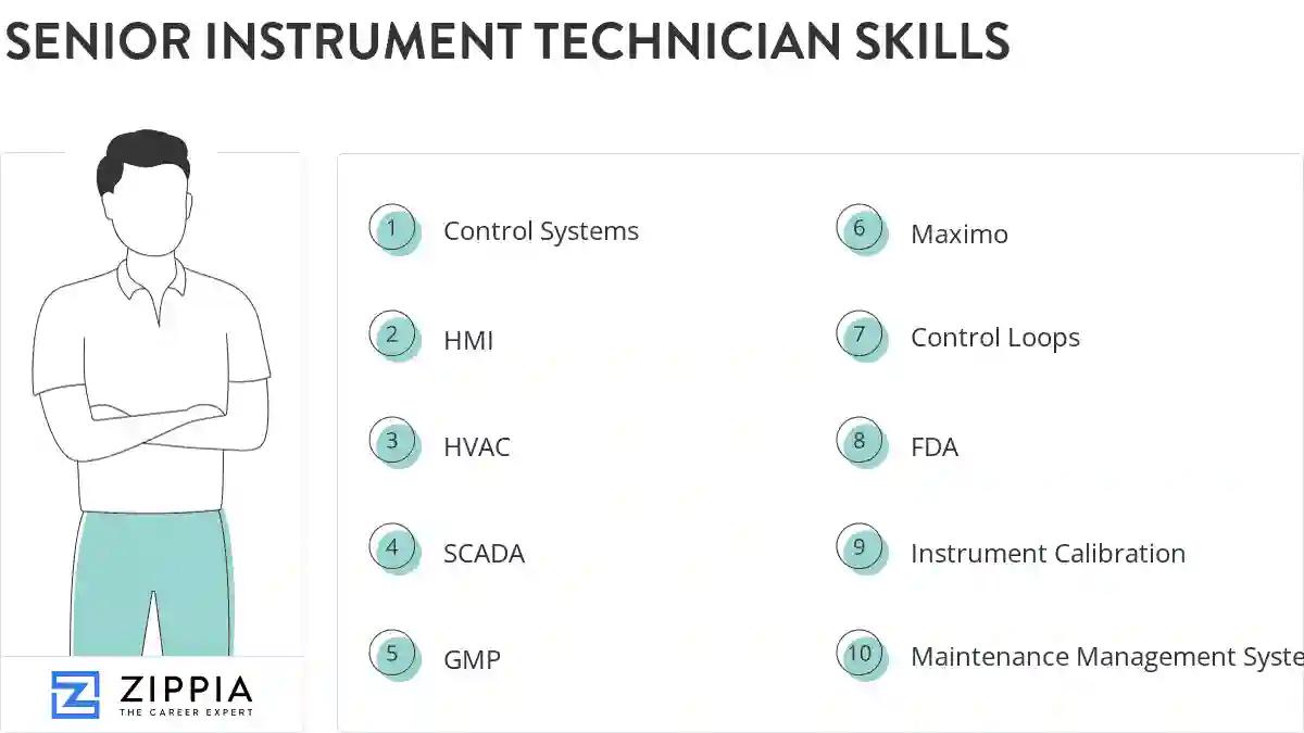 Senior instrument technician skills
