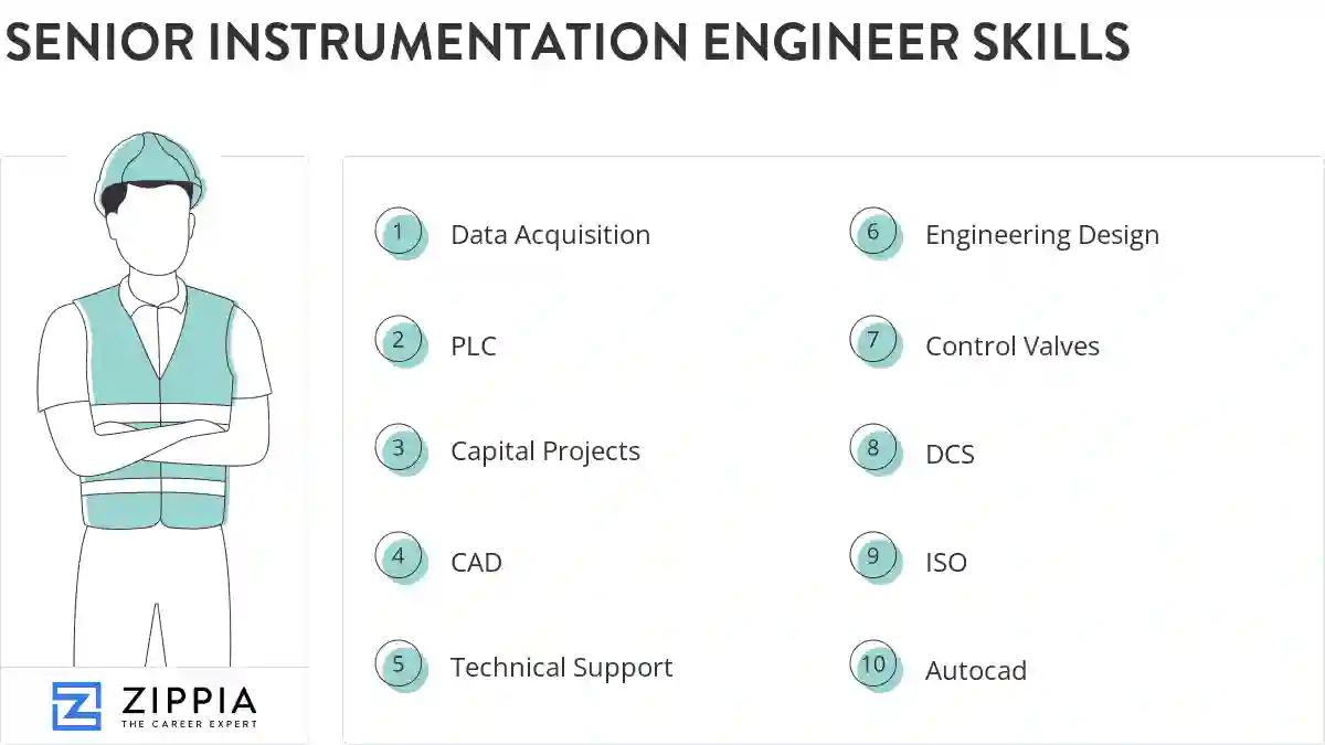Senior instrumentation engineer skills