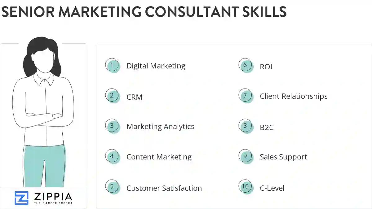 Senior marketing consultant skills
