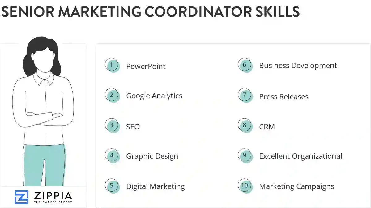 Senior marketing coordinator skills