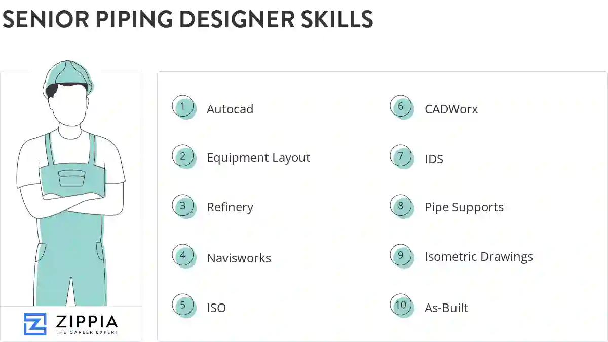 Senior piping designer skills