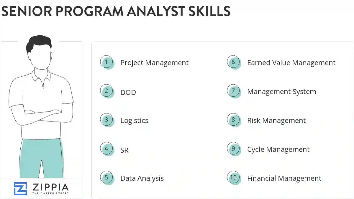 Senior program analyst skills