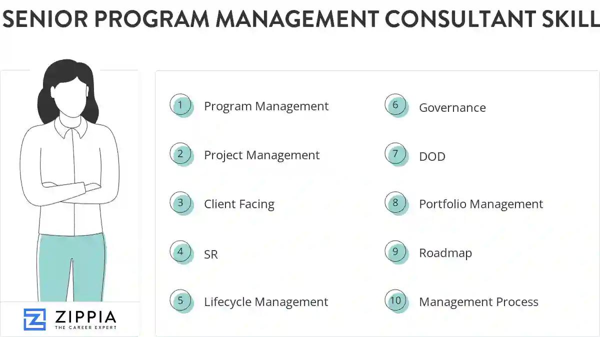 Senior program management consultant skills