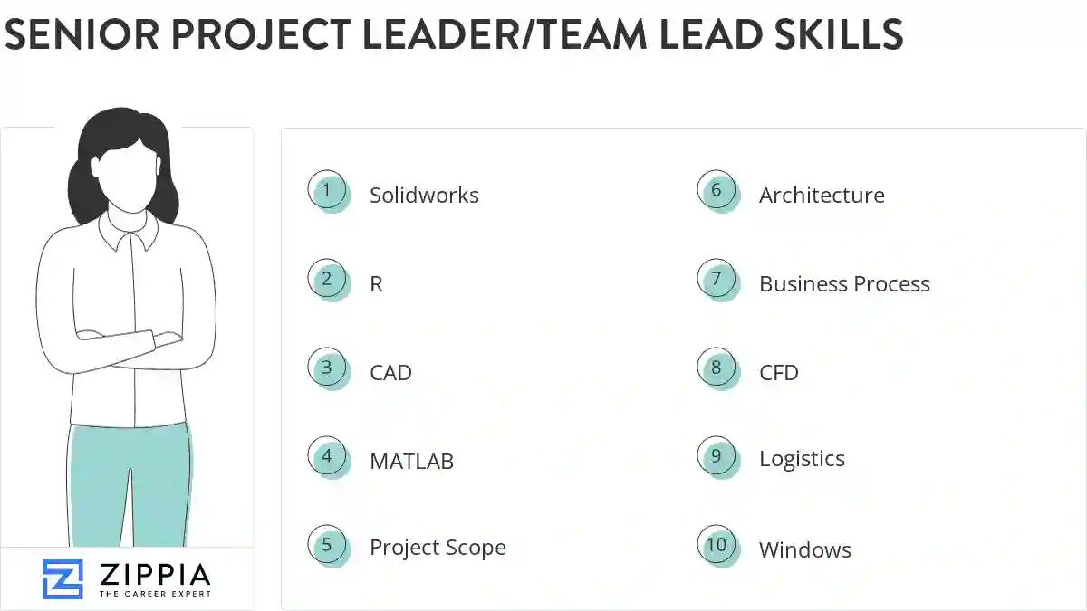 Senior project leader/team lead skills