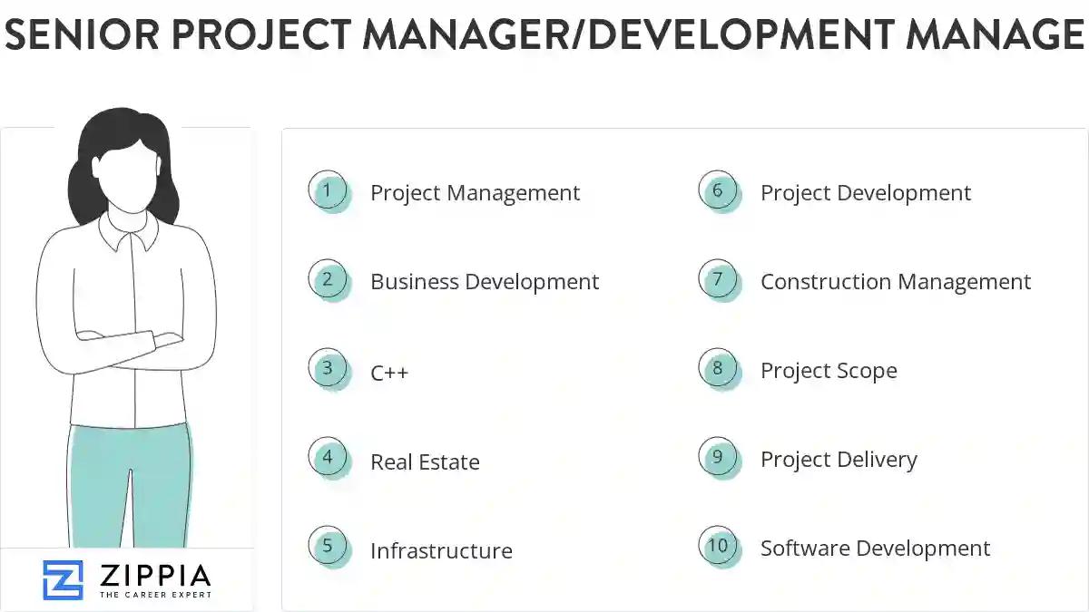Senior project manager/development manager skills