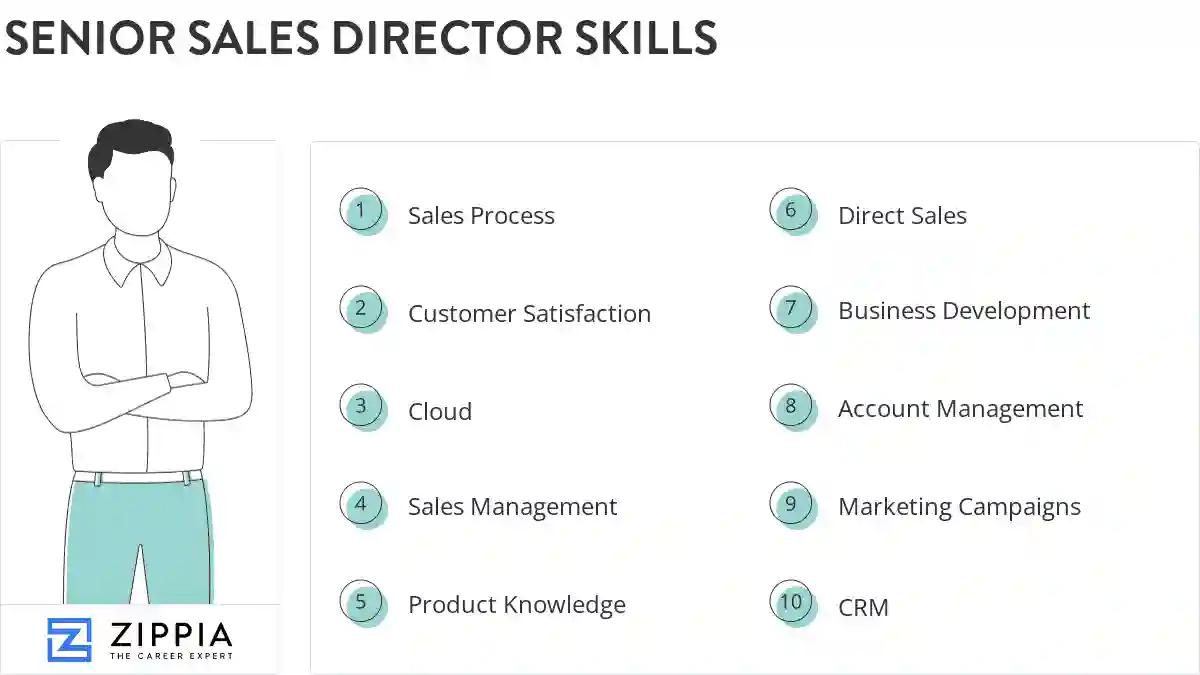 Senior sales director skills