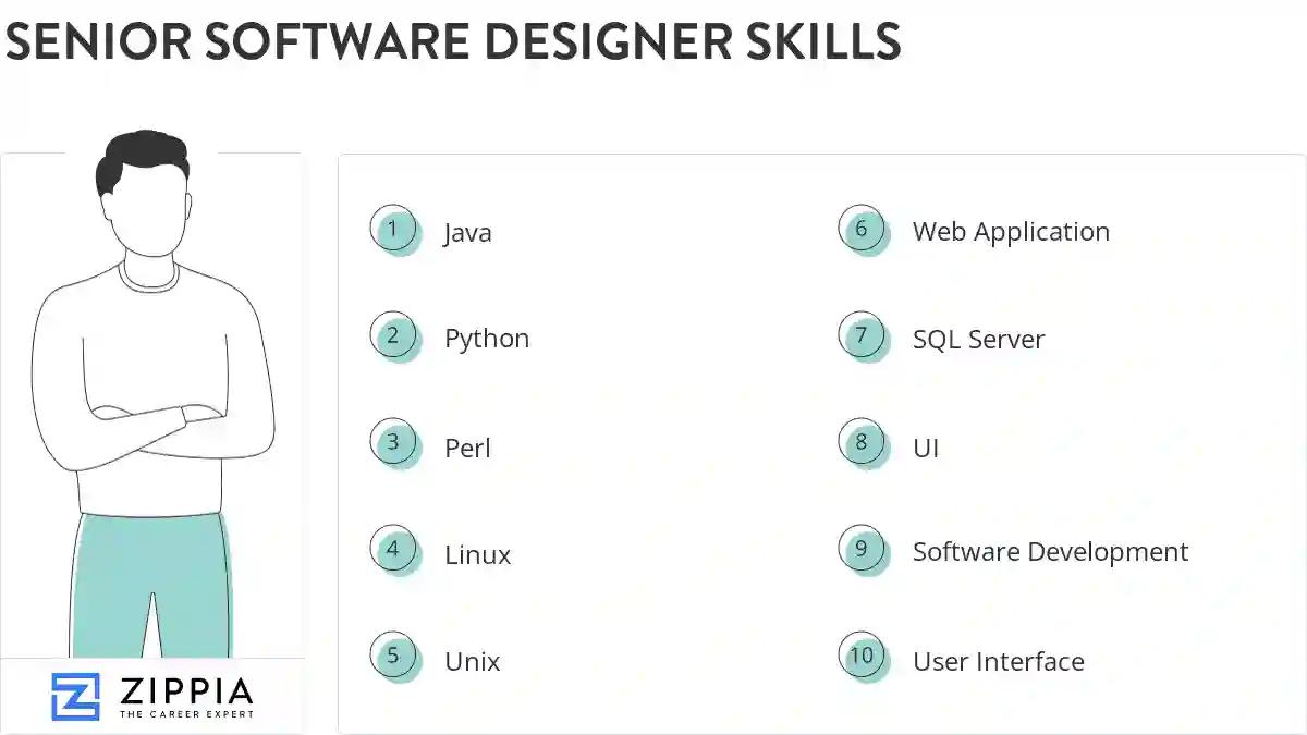 Senior software designer skills