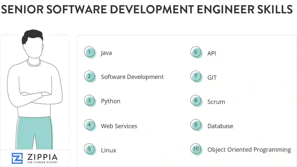 Senior software development engineer skills
