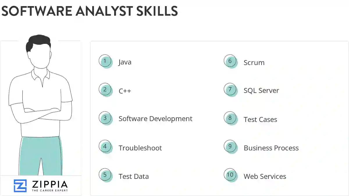 Software analyst skills