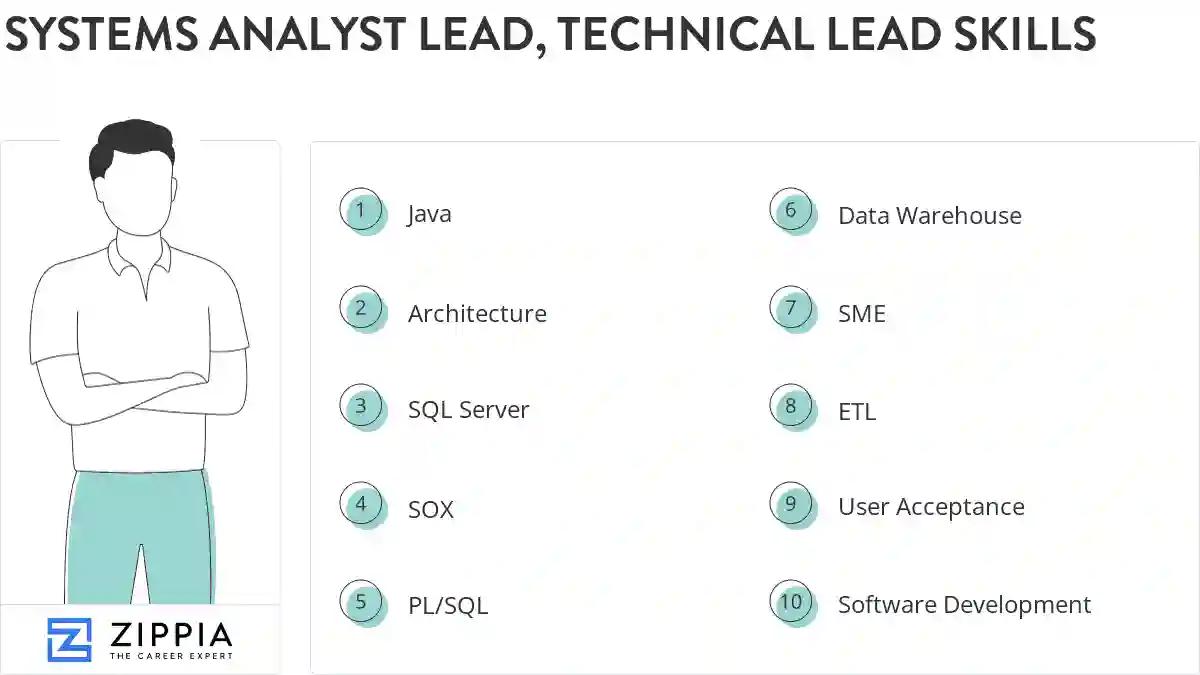 Systems analyst lead, technical lead skills