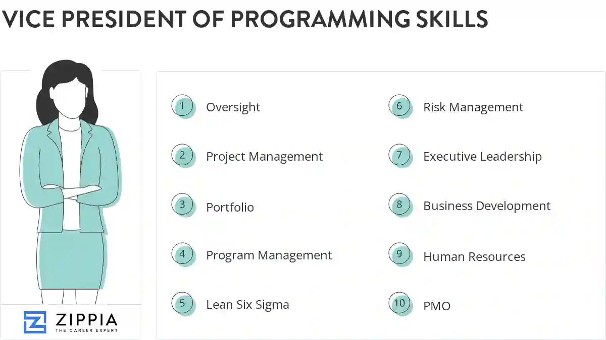 Vice president of programming skills