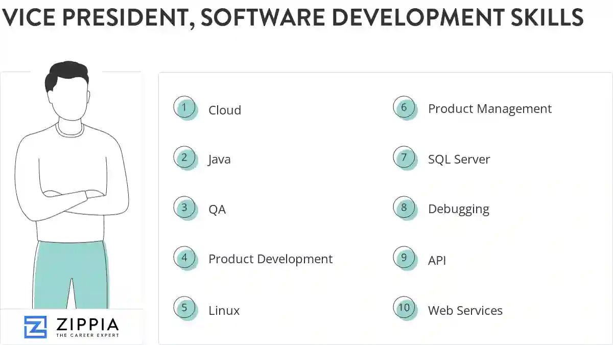 Vice president, software development skills