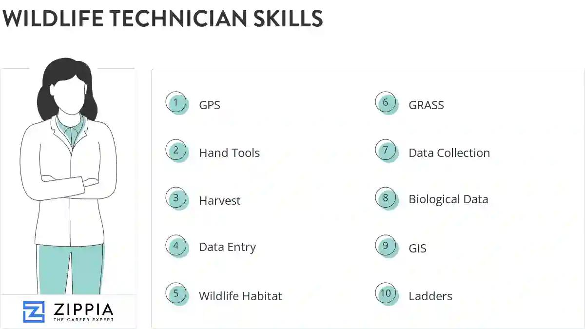 Wildlife technician skills