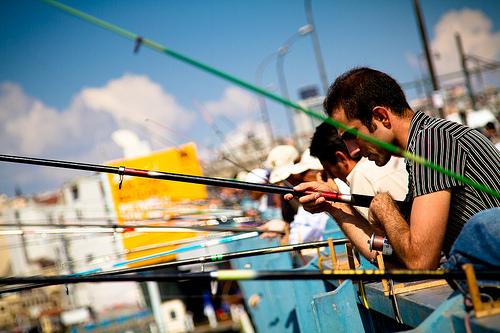 Fish where the fish might be