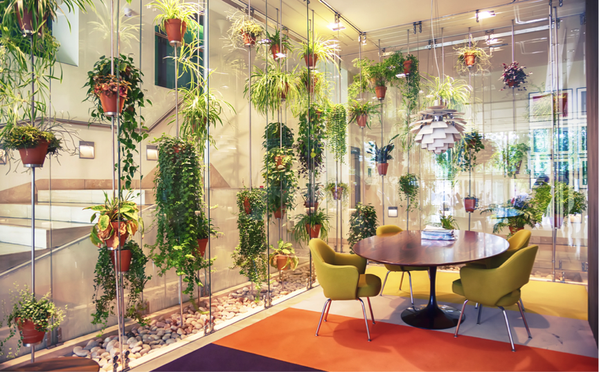 Why a Sustainable Greener Office Will Improve Productivity