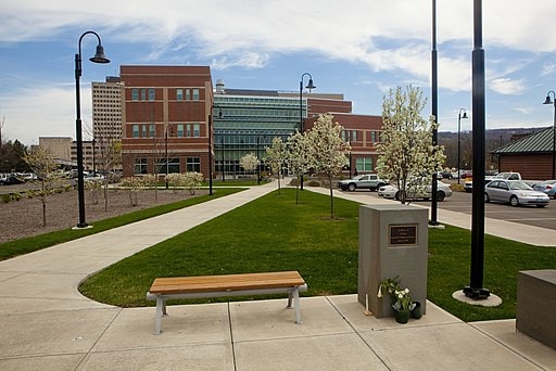 binghamton university