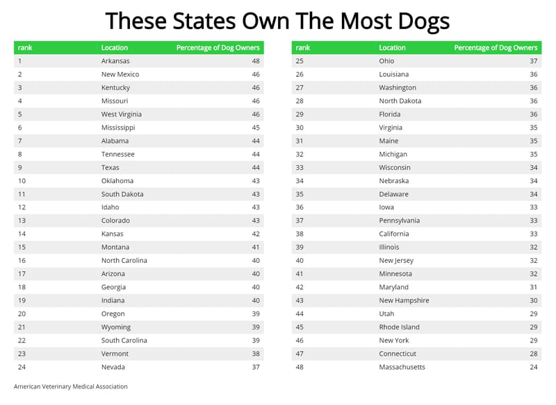 Dog States vs Cat States: States With The Most Dogs – Zippia