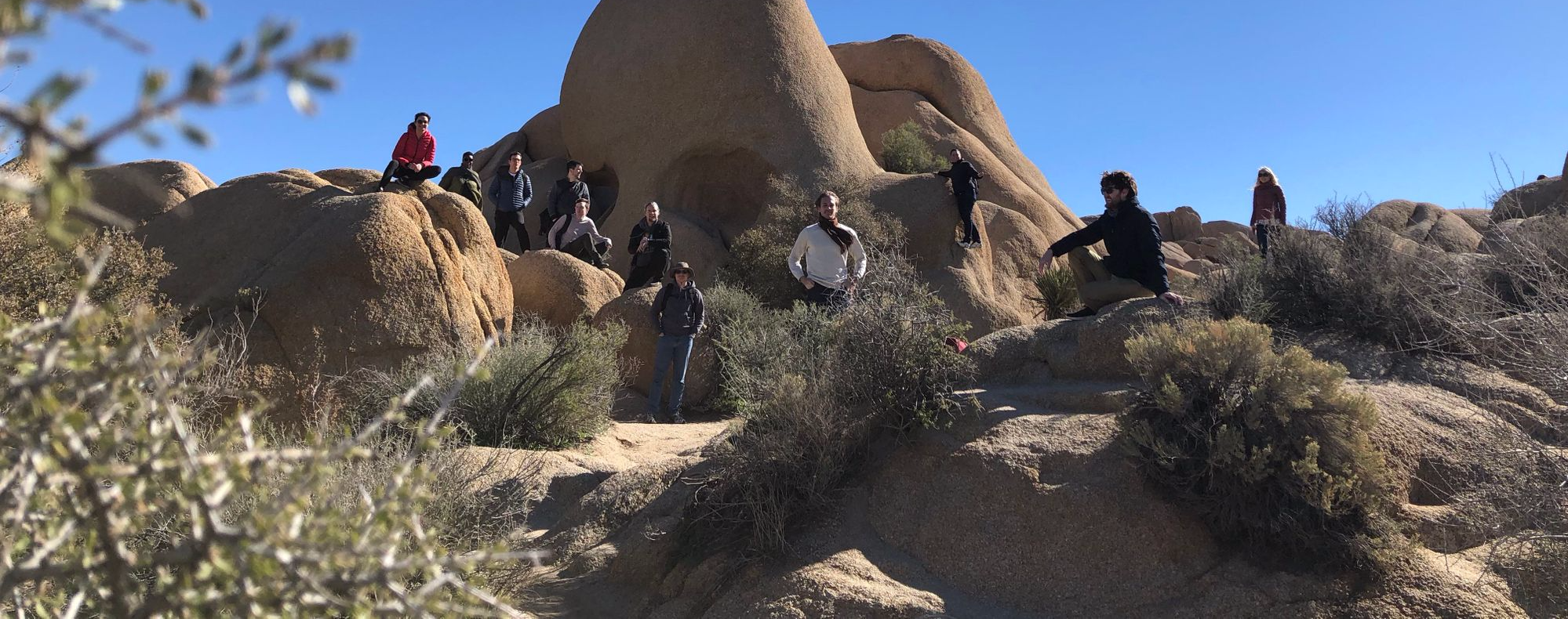 Lookback featured image