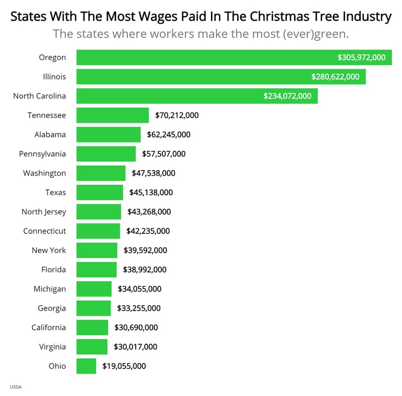 Let's Talk Christmas Trees States That Grow The Most Trees And Employ