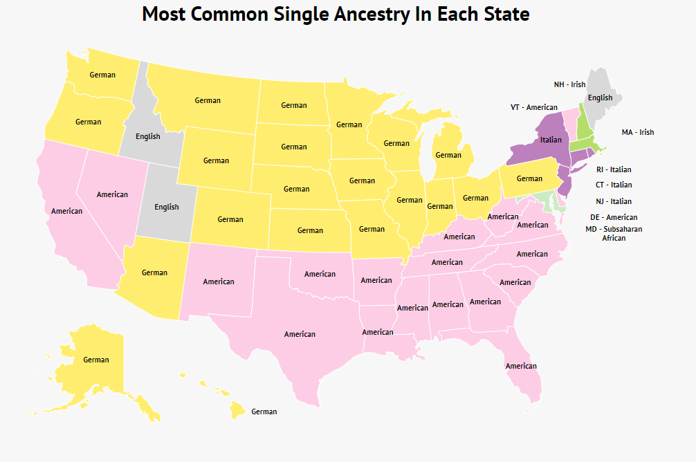 main ethnic groups in america