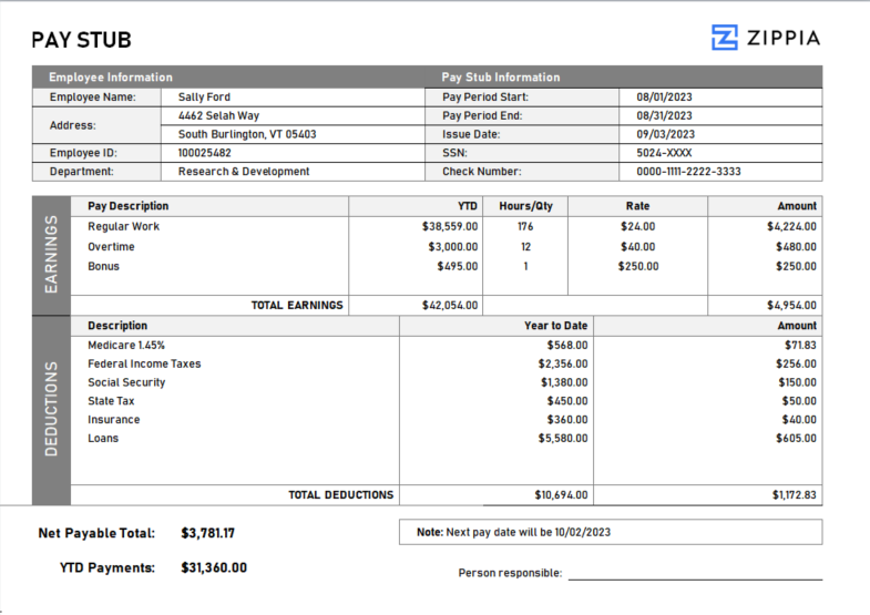 Pay Stub Template Word Zippia Pay Stub Template Word Zippia